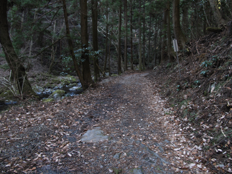 20180116hike (319)